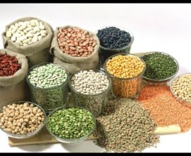 Online Grocery – Canadian WebStore