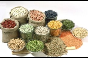 Online Grocery – Canadian WebStore