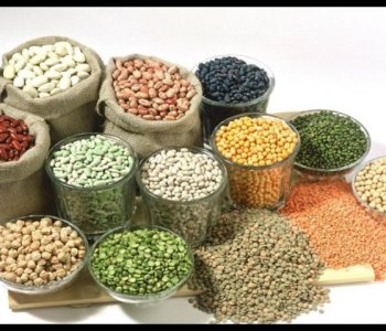 Online Grocery – Canadian WebStore