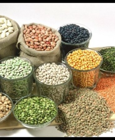 Online Grocery – Canadian WebStore