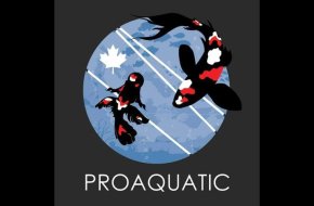 Proaquatic – Aquarium Shop