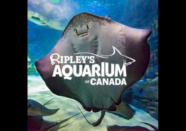 Ripley’s Aquarium of Canada