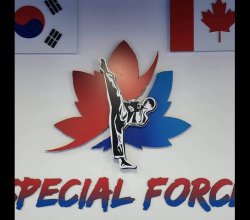 Special Force Taegeuk Taekwondo